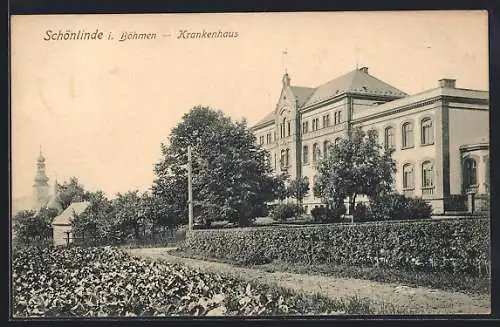 AK Schönlinde / Krasna Lipa, Blick auf das Krankenhaus