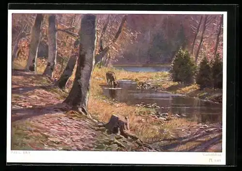 Künstler-AK P. Hey: Vorfrühling, Reh an der Wasserstelle im Wald