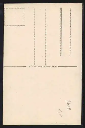 AK Ulm a. D., Blick aufs Rathaus