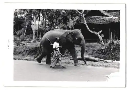 Fotografie Ceylon / Sri Lanka, Einheimischer Elefantenführer mit seinem Elefant, Elephant