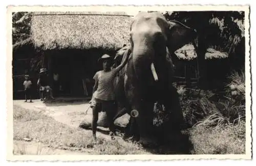 Fotografie Fotograf unbekannt, Saigon, Elefant und Elefantenführer während einer Übung