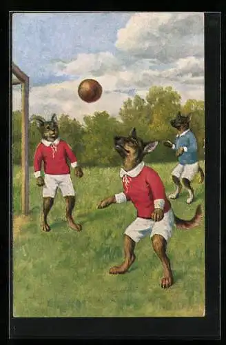 AK Hunde beim Fussballspiel