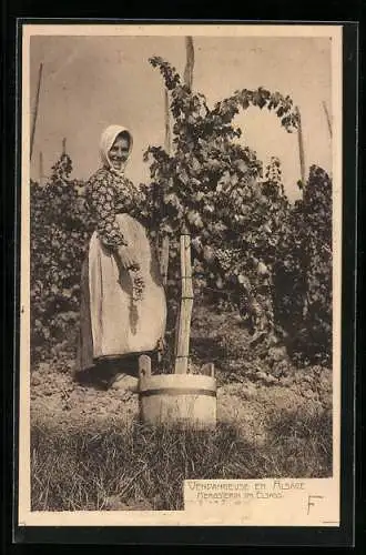 AK Herbsterin in Tracht im Elsass, Wein Weinrebe