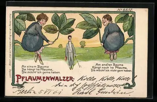 Künstler-Lithographie Bruno Bürger & Ottillie Nr. 6652: Pflaumenwalzer, Frauen sitzen in einem Baum wie reife Pflaumen