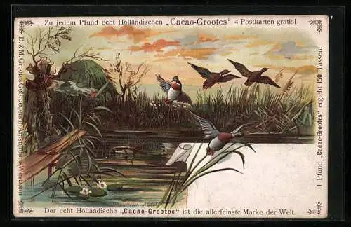 Lithographie Aufgeschreckte Enten fliegen über den Weiher