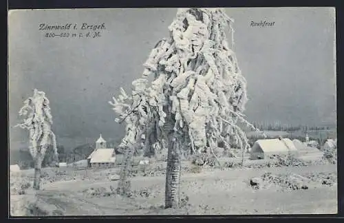 AK Zinnwald i. Erzgeb., Baum mit Rauhfrost