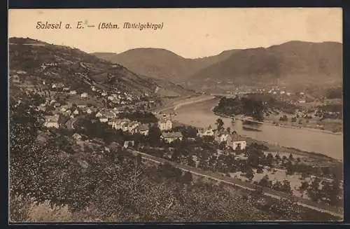 AK Salesel a. E., Ortsansicht aus der Vogelschau