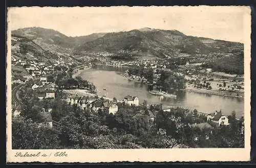 AK Salesel a. Elbe, Ortsansicht mit Dampfer