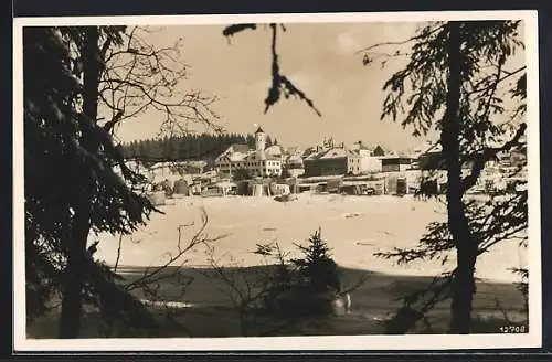 AK Haidmühle /Bayer. Wald, Ortsansicht hinter Bäumen