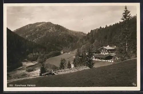 AK Schliersee, Blick zum Forsthaus Valepp