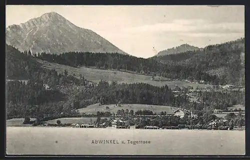 AK Abwinkel a. Tegernsee, Ortsansicht aus der Vogelschau