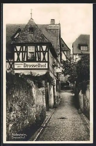 AK Rüdesheim / Rhein, Historischer alter Drosselhof