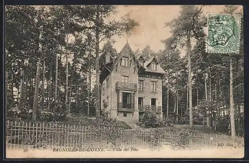 AK Bagnoles de l`Orne, Villa des Pins