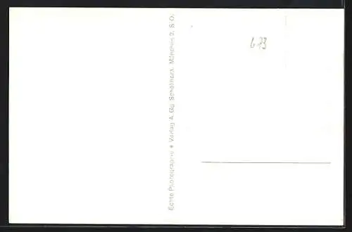 AK Schwangau b. Füssen, Ortsansicht mit Bergpanorama