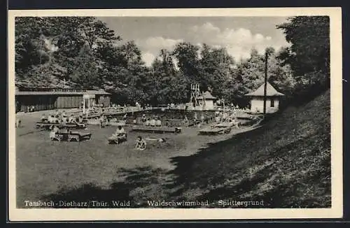 AK Tambach-Dietharz /Thür. Wald, Waldschwimmbad Splittergrund