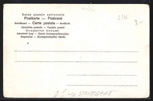 Passepartout-Lithographie Braunschweig, Ortsansicht mit Denkmal und Springbrunnen, Frau in württ. Tracht im Passepartout