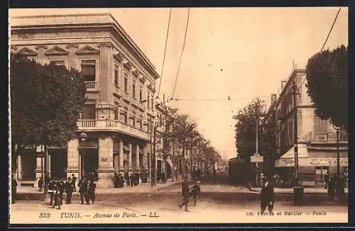 AK Tunis, Avenue de Paris