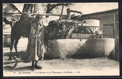 AK La Marsa, La Source et le Chameau a la Noria, Kamelbetriebener Brunnen