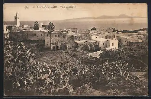 AK Sidi-Bou-Said, Vue générale