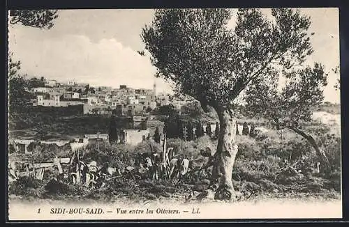 AK Sidi-Bou-Said, Vue entre les Oliviers