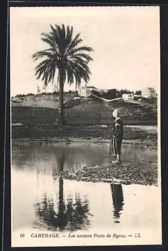 AK Carthage, Vue de l'Aeropole de Byrsa