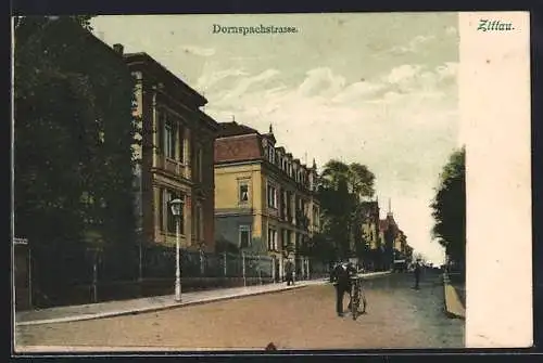 AK Zittau, Partie in der Dornspachstrasse, mit Radfahrer