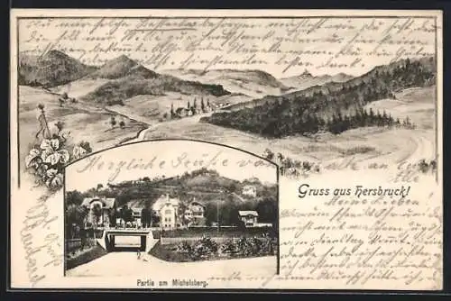 AK Hersbruck, Michelsberg, Panorama