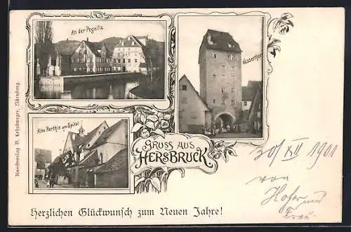 AK Hersbruck, An der Pegnitz, Spital, Wassertor, Neujahrsgruss