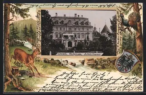 Passepartout-Lithographie Altdöbern, Das Gräfl. Schloss, Waldszene und Wappen