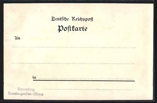 Lithographie Horn, Gasthof Billwärder Park v. D. Meyer mit Gartenwirtschaft