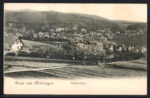 AK Bad Liebenstein, Ortspartie