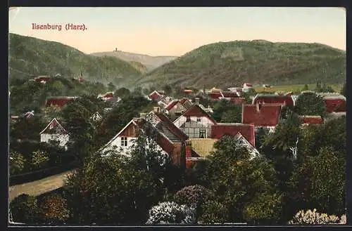 AK Ilsenburg /Harz, Teilansicht