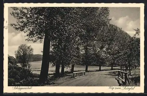 AK Schöppenstedt, Weg zum Burgtal