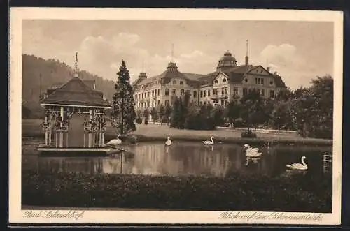 AK Bad Salzschlirf, Blick auf den Schwanenteich