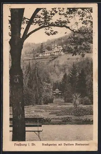 AK Freiburg i. Br., Stadtgarten mit Dattlers Restaurant