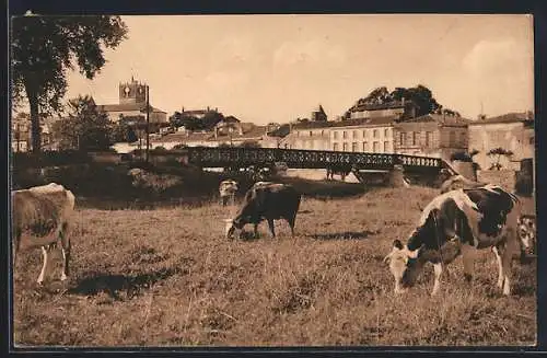 AK St Savinien, Vue gènèrale