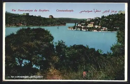 AK Constantinople, Vue Panoramique du Bosphore