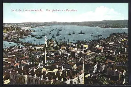 AK Constantinople, Vue generale du Bosphore