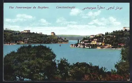 AK Constantinople, Vue Panoramique du Bosphore