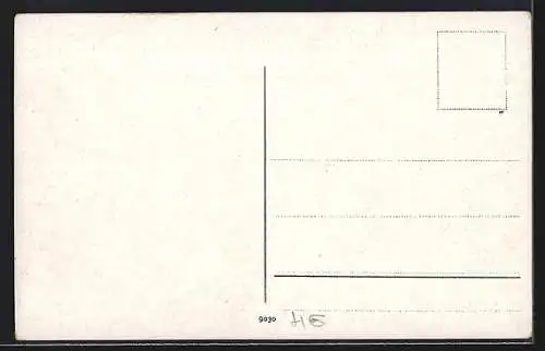 AK Constantinople, Iles des Princes-Prinkipo, Nizam et la Langue dorée