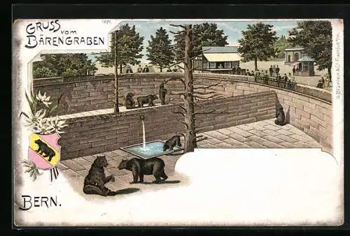 Lithographie Bern, Ansicht vom Bärengraben