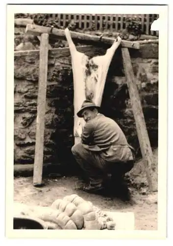 Fotografie Hausschlachtung in Österreich, Almbauer nimmt ein Schwein aus