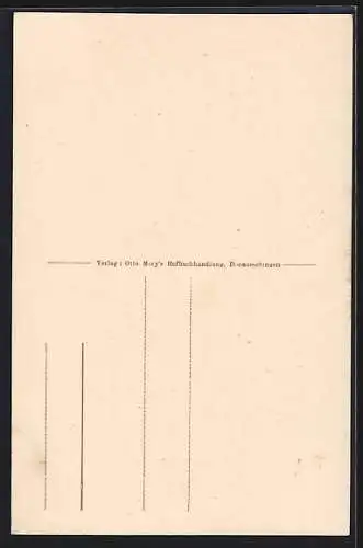 Künstler-AK Donaueschingen, Fürstlich Fürstenbergische Hofbibliothek und Fürstlich Fürstenbergisches Archiv