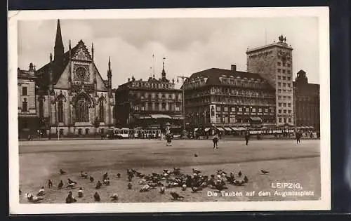 AK Leipzig, Tauben auf dem Augustusplatz