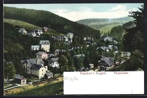 AK Kipsdorf i. Erzgeb., Panorama