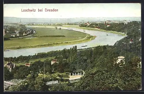 AK Loschwitz bei Dresden, Panorama