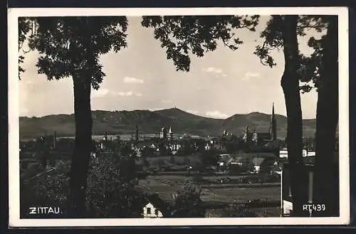 AK Zittau, Teilansicht mit Kirche