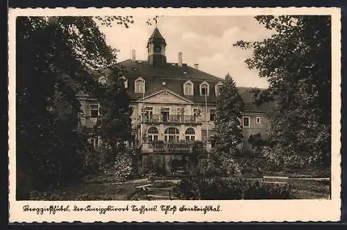 AK Berggiesshübel, Blick auf das Schloss