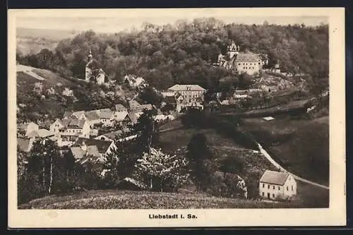 AK Liebstadt, Totalansicht