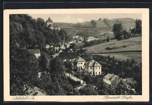 AK Liebstadt i. Sa., Pirnaische Strasse